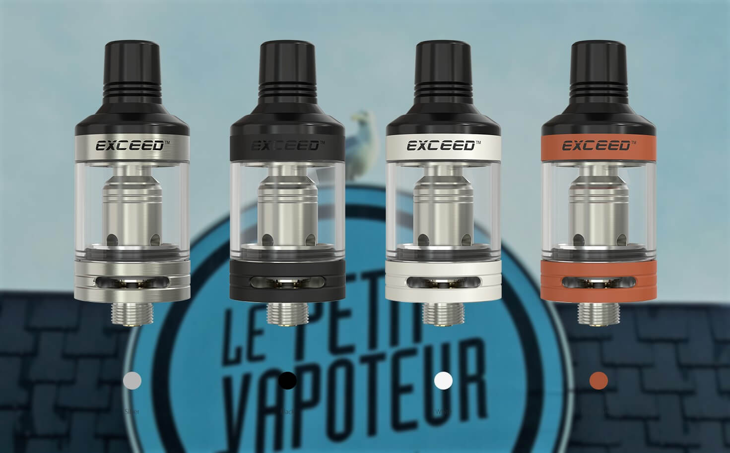 Kit Exceed D19 Blog Le Petit Vapoteur 2017